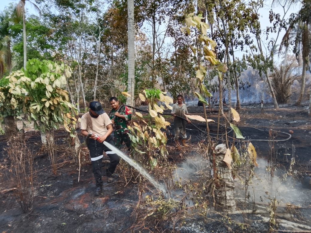 Kodam XIX Tuanku Tambusai Kawal Pemadaman Karhutla di Gemalasari, Pendinginan Berlanjut